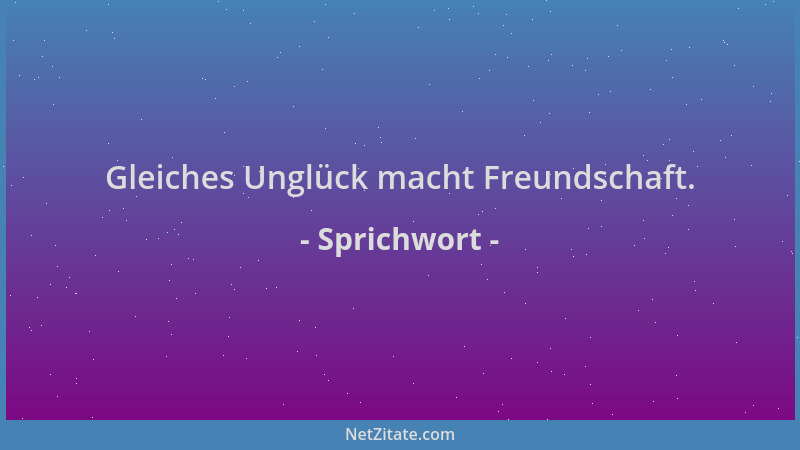 Sprichwort - Gleiches Unglück macht Freundschaft....