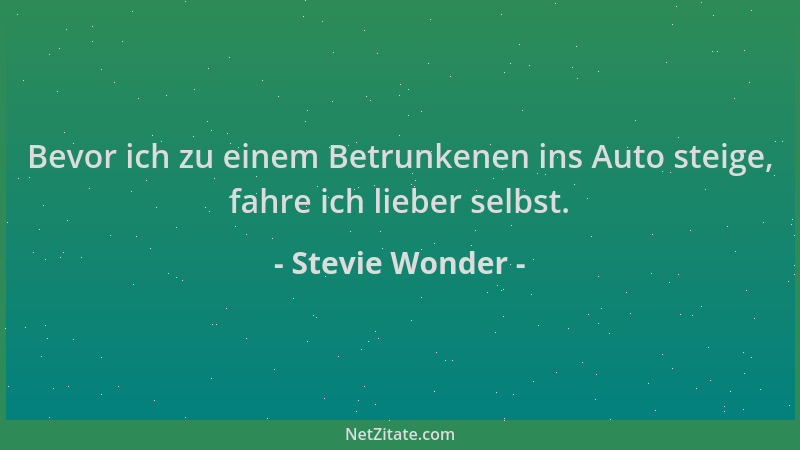 Stevie Wonder - Bevor ich zu einem Betrunkenen ins Auto steige, fahre ich lieber selbst....