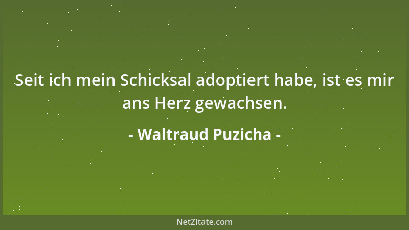 Waltraud Puzicha - Der Gummiparagraph mildert die Härte des Gesetzes....