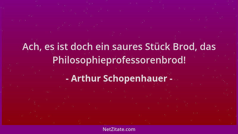 Arthur Schopenhauer - Ach, es ist doch ein saures Stück Brod, das Philosophieprofessorenbrod!...