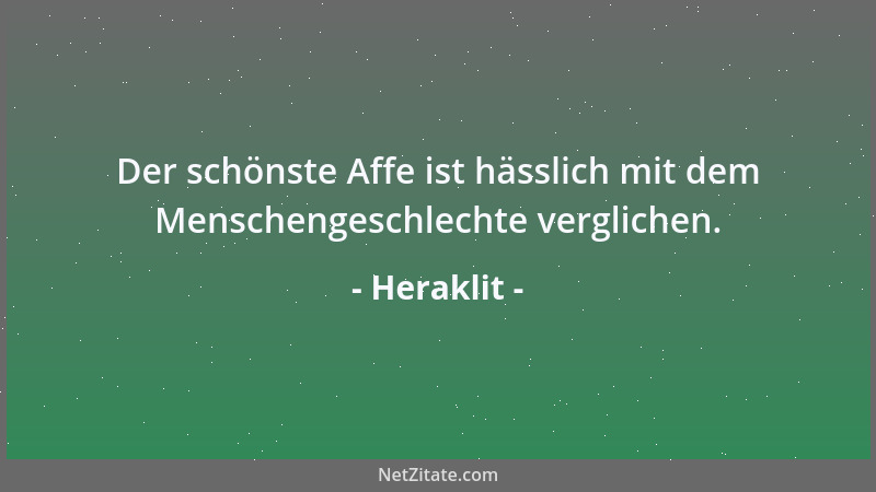 Heraklit - Der schönste Affe ist hässlich mit dem Menschengeschlechte verglichen....