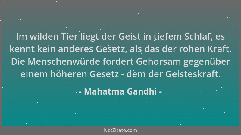 Mahatma Gandhi - Im wilden Tier liegt der Geist in tiefem Schlaf, es kennt kein anderes Gesetz, als das der rohen Kraft. Di...