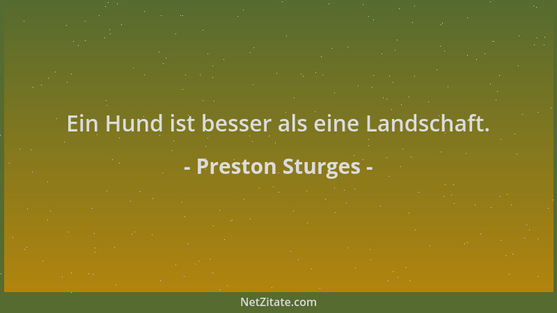 Preston Sturges - Ein Hund ist besser als eine Landschaft....