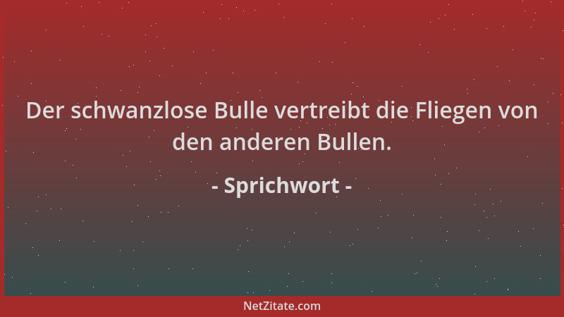 Sprichwort - Der schwanzlose Bulle vertreibt die Fliegen von den anderen Bullen....