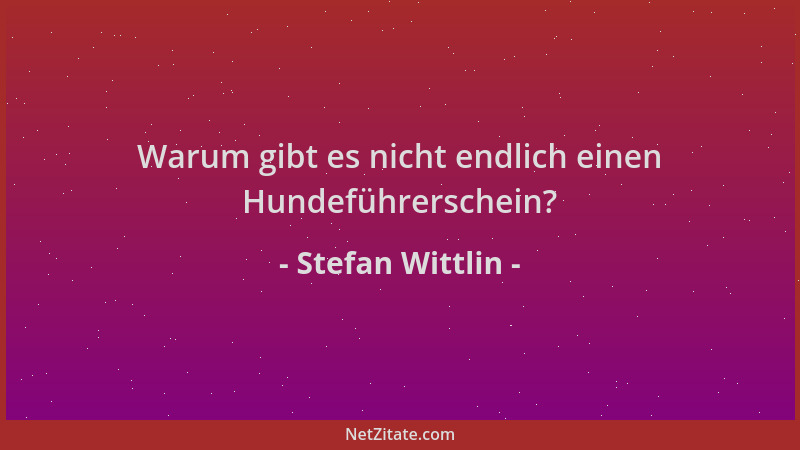 Stefan Wittlin - Warum gibt es nicht endlich einen Hundeführerschein?...