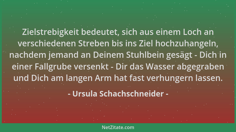 Ursula Schachschneider - Zielstrebigkeit bedeutet, sich aus einem Loch an verschiedenen Streben bis ins Ziel hochzuhangeln,...