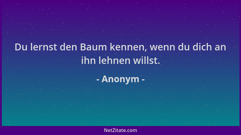 Anonym - Du lernst den Baum kennen, wenn du dich an ihn lehnen willst....