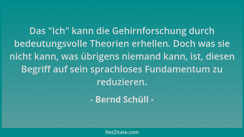 Bernd Schüll - Das  "Ich " kann die Gehirnforschung durch bedeutungsvolle Theorien erhellen. Doch was sie nicht kann, was übr...