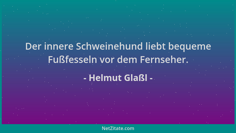 Helmut Glaßl - Der innere Schweinehund liebt bequeme Fußfesseln vor dem Fernseher....