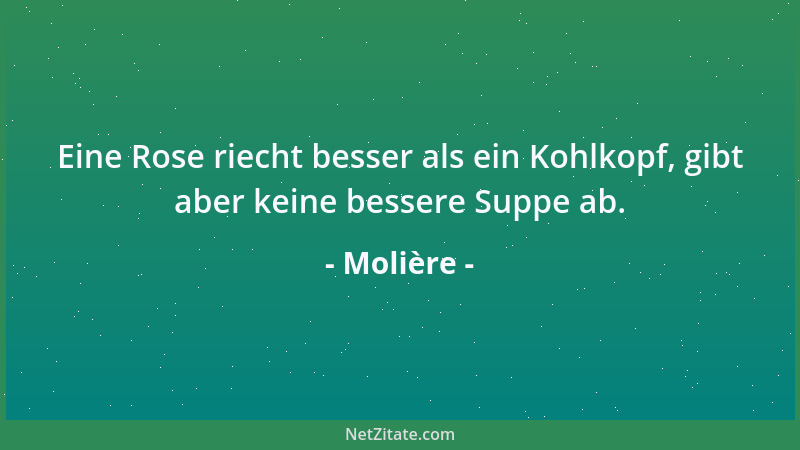 Molière - Eine Rose riecht besser als ein Kohlkopf, gibt aber keine bessere Suppe ab....
