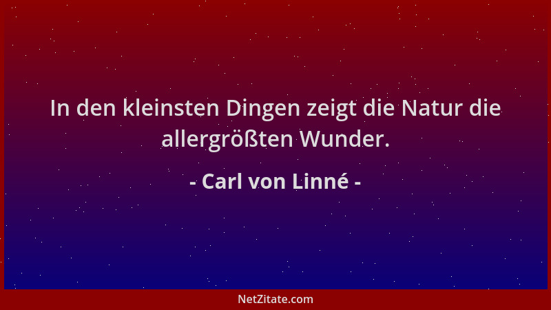 Carl von Linné - In den kleinsten Dingen zeigt die Natur die allergrößten Wunder....