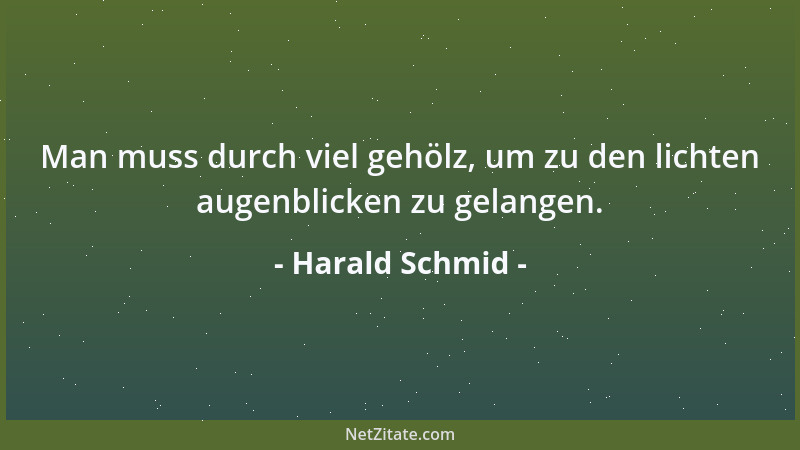 Harald Schmid - Man muss durch viel gehölz, um zu den lichten augenblicken zu gelangen....