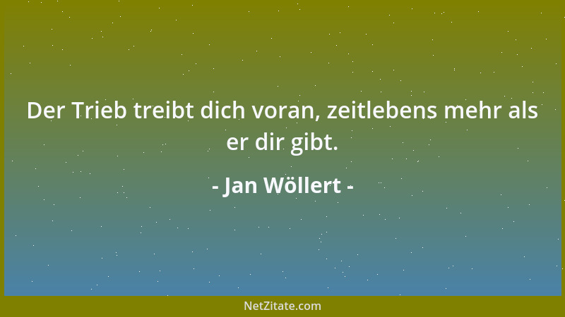 Jan Wöllert - Der Trieb treibt dich voran, zeitlebens mehr als er dir gibt....