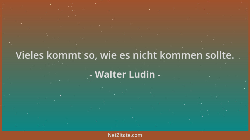 Walter Ludin - Vieles kommt so, wie es nicht kommen sollte....