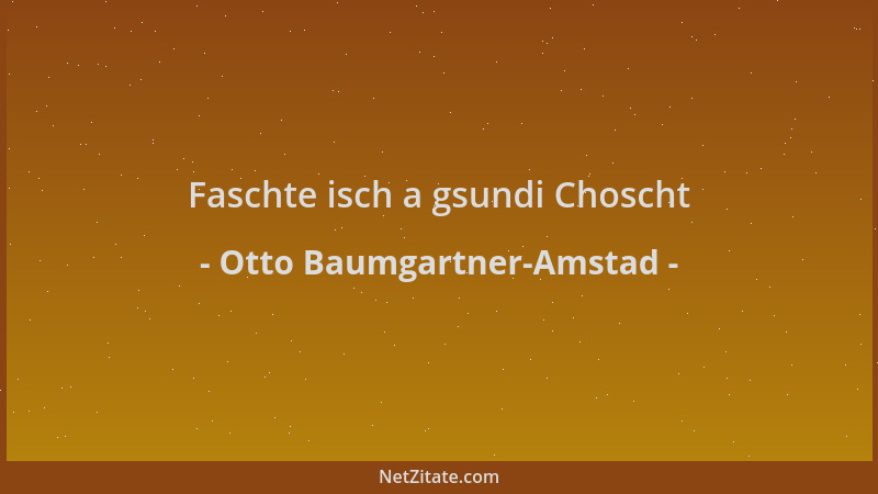 Otto Baumgartner-Amstad - Faschte isch a gsundi Choscht...
