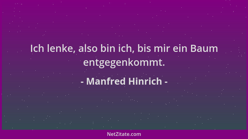 Manfred Hinrich - Ich lenke, also bin ich, bis mir ein Baum entgegenkommt....
