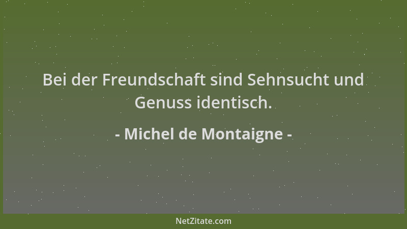 Michel de Montaigne - Bei der Freundschaft sind Sehnsucht und Genuss identisch....