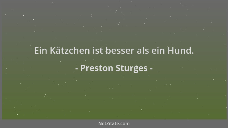 Preston Sturges - Ein Kätzchen ist besser als ein Hund....