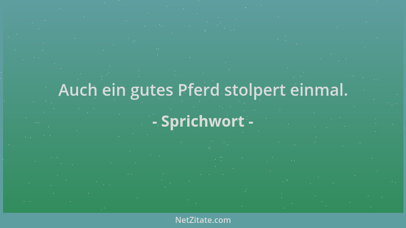 Sprichwort - Auch ein gutes Pferd stolpert einmal....
