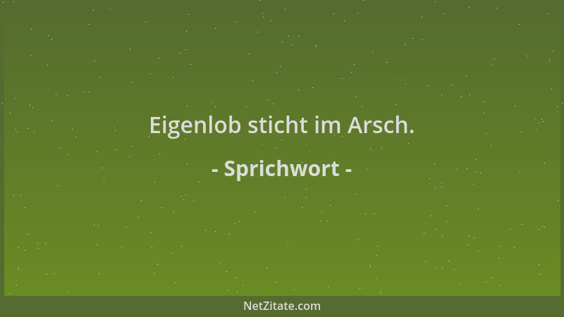 Sprichwort - Eigenlob sticht im Arsch....