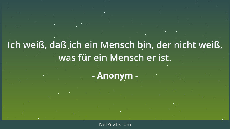 Anonym - Ich weiß, daß ich ein Mensch bin, der nicht weiß, was für ein Mensch er ist....