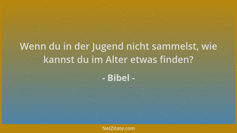 Bibel - Wenn du in der Jugend nicht sammelst, wie kannst du im Alter etwas finden?...