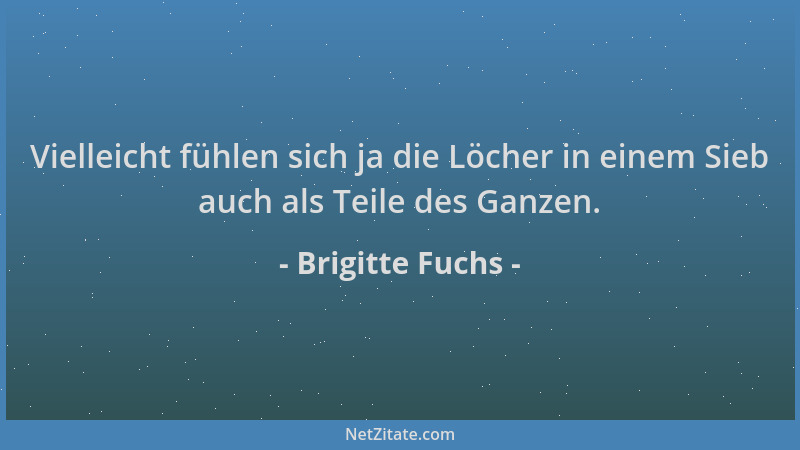 Brigitte Fuchs - Vielleicht fühlen sich ja die Löcher in einem Sieb auch als Teile des Ganzen....