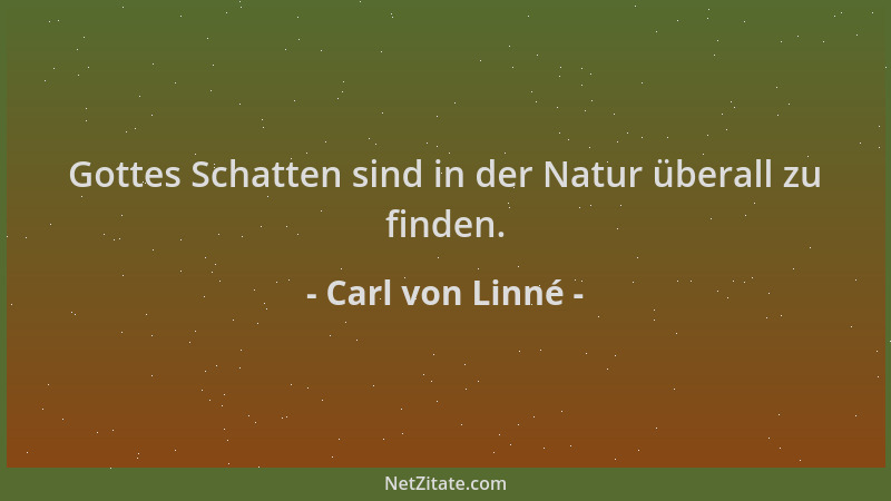 Carl von Linné - Gottes Schatten sind in der Natur überall zu finden....
