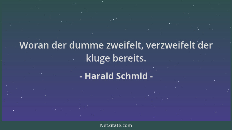 Harald Schmid - Woran der dumme zweifelt, verzweifelt der kluge bereits....
