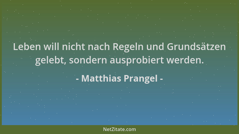 Matthias Prangel - Leben will nicht nach Regeln und Grundsätzen gelebt, sondern ausprobiert werden....