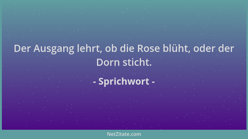 Sprichwort - Der Ausgang lehrt, ob die Rose blüht, oder der Dorn sticht....
