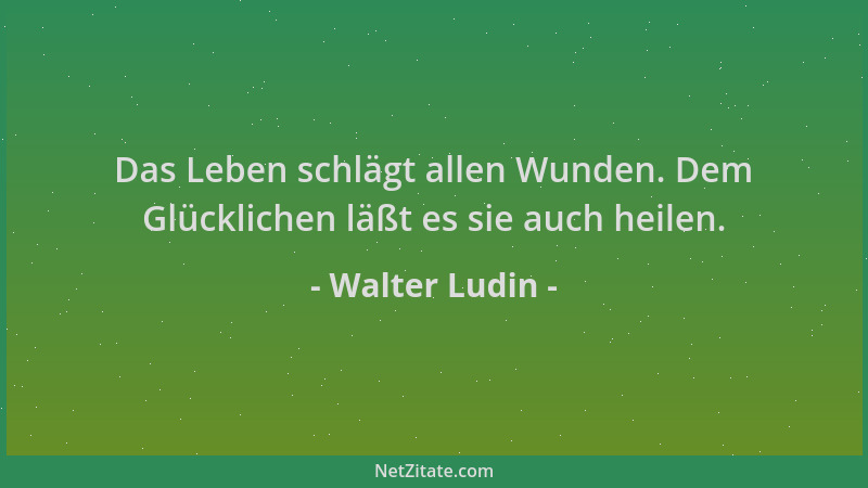 Walter Ludin - Das Leben schlägt allen Wunden. Dem Glücklichen läßt es sie auch heilen....