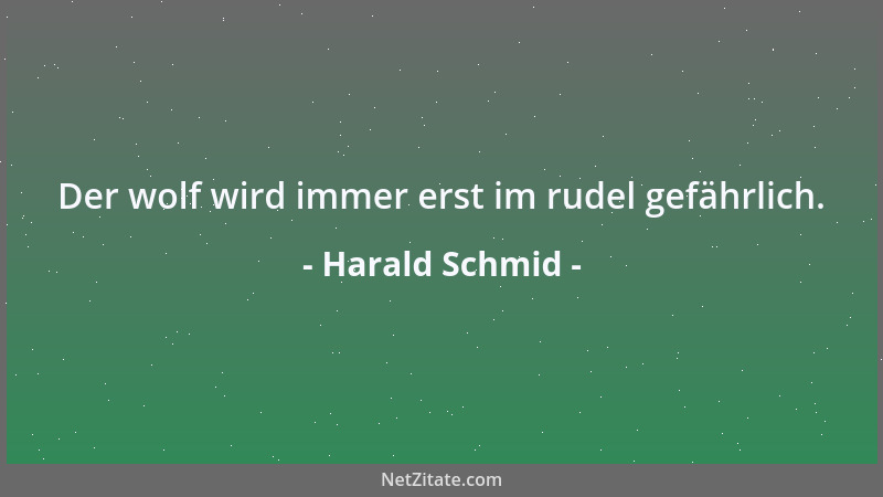 Harald Schmid - Der wolf wird immer erst im rudel gefährlich....
