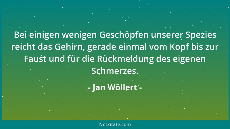 Jan Wöllert - Bei einigen wenigen Geschöpfen unserer Spezies reicht das Gehirn, gerade einmal vom Kopf bis zur Faust und fü...