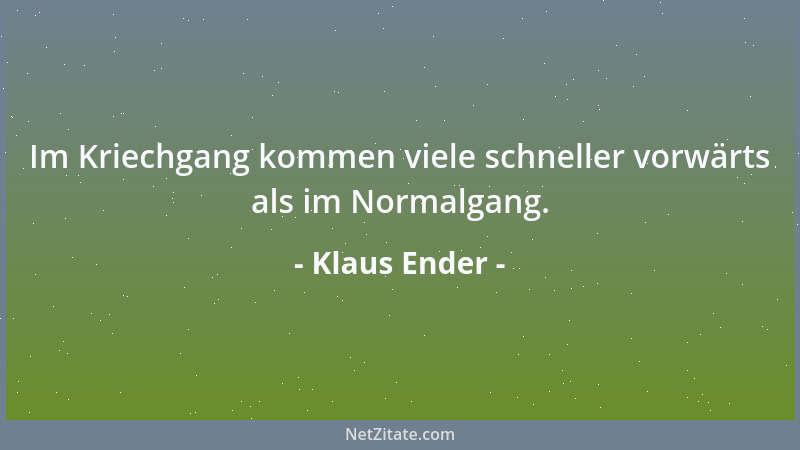 Klaus Ender - Im Kriechgang kommen viele schneller vorwärts als im Normalgang....