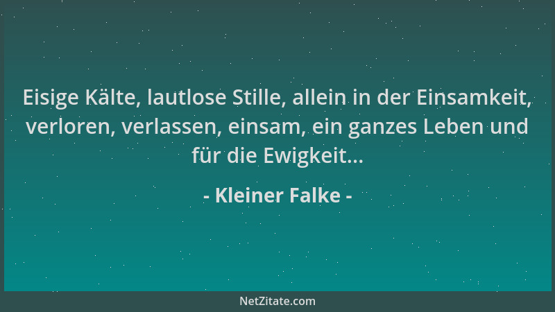 Kleiner Falke - Eisige Kälte, lautlose Stille, allein in der Einsamkeit, verloren, verlassen, einsam, ein ganzes Leben und...