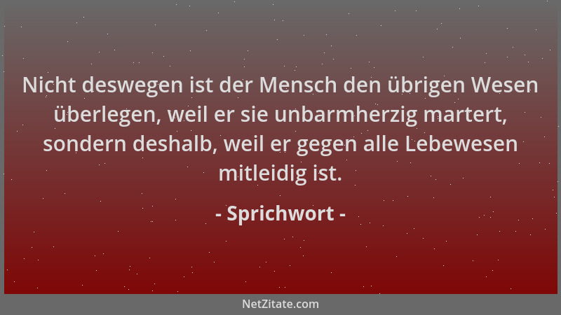 Sprichwort - Nicht deswegen ist der Mensch den übrigen Wesen überlegen, weil er sie unbarmherzig martert, sondern deshalb,...