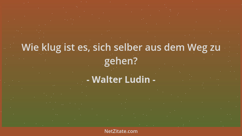 Walter Ludin - Wie klug ist es, sich selber aus dem Weg zu gehen?...