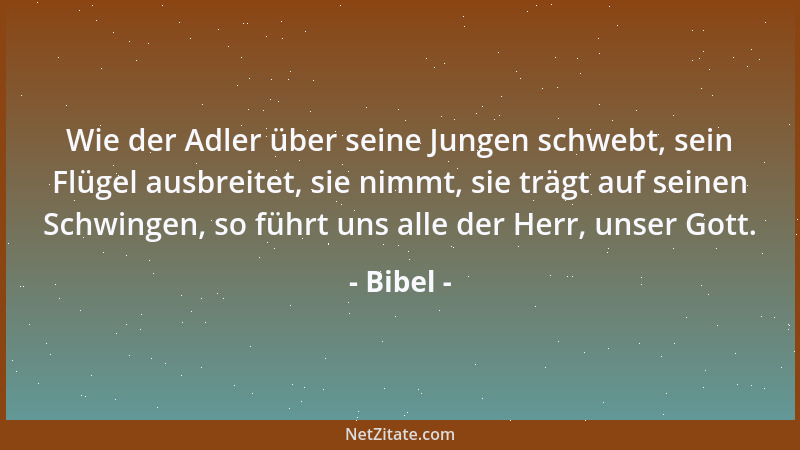 Bibel - Wie der Adler über seine Jungen schwebt, sein Flügel ausbreitet, sie nimmt, sie trägt auf seinen Schwingen, so führ...