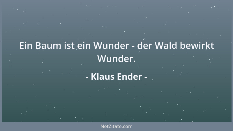 Klaus Ender - Ein Baum ist ein Wunder - der Wald bewirkt Wunder....