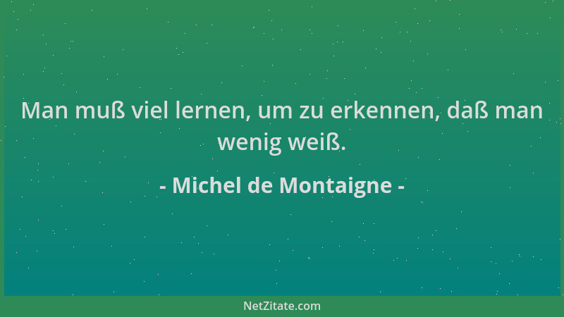 Michel de Montaigne - Man muß viel lernen, um zu erkennen, daß man wenig weiß....