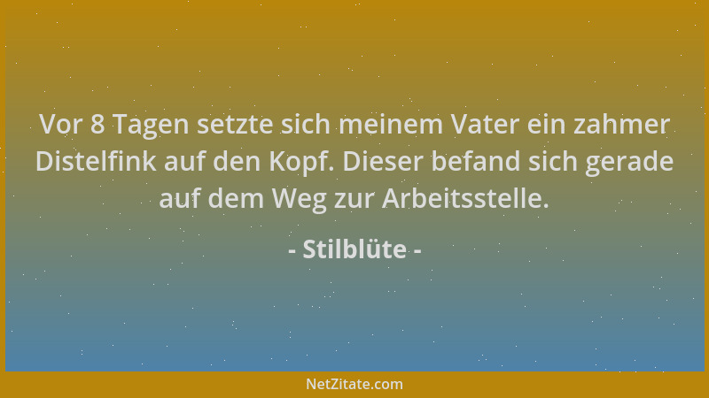Stilblüte - Vor 8 Tagen setzte sich meinem Vater ein zahmer Distelfink auf den Kopf. Dieser befand sich gerade auf dem Weg...