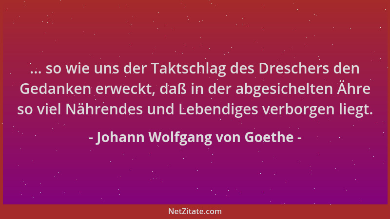 Johann Wolfgang von Goethe - ... so wie uns der Taktschlag des Dreschers den Gedanken erweckt, daß in der abgesichelten Ähr...