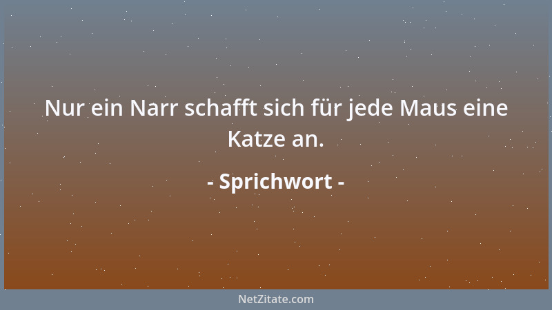 Sprichwort - Der eine schert Schafe, der andere Ferkel....