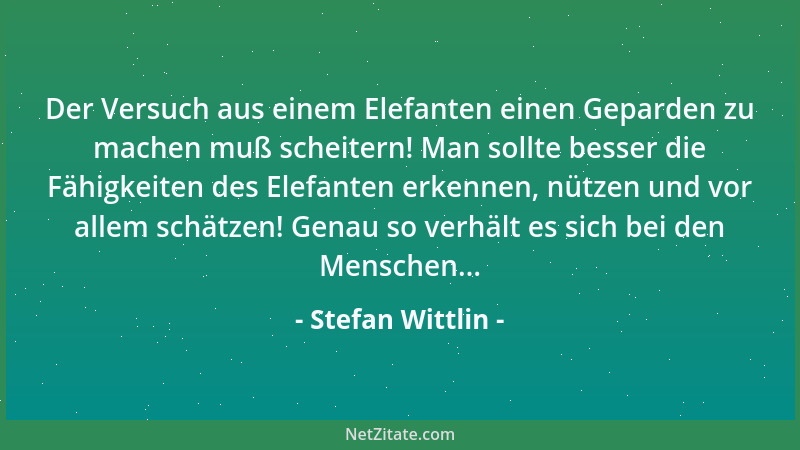 Stefan Wittlin - Menschenverstand... er nie!...