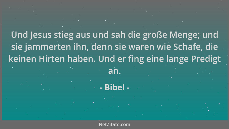 Bibel - Und Jesus stieg aus und sah die große Menge; und sie jammerten ihn, denn sie waren wie Schafe, die keinen Hirten ha...