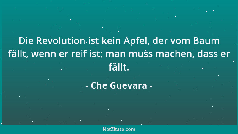 Che Guevara - Ich bin wohlauf und lechze nach Blut. Ganz wie ein richtiger Soldat - ein Gewehr an meiner Seite und, etwas N...