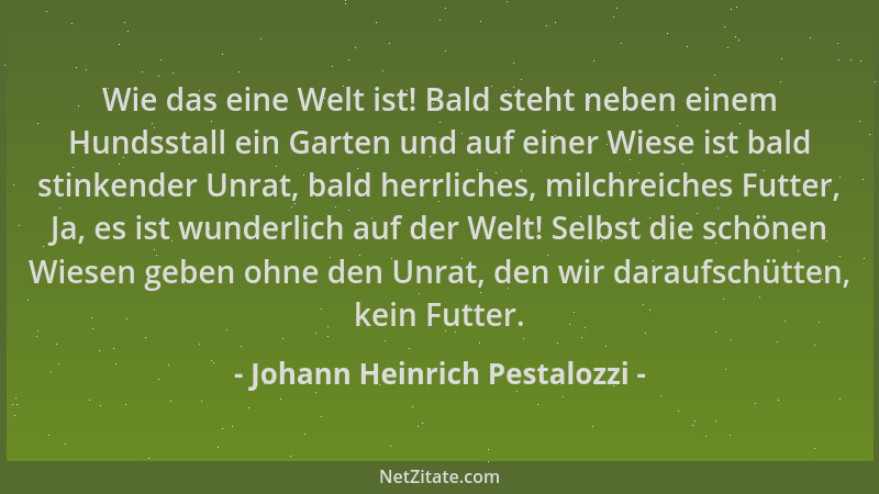 Johann Heinrich Pestalozzi - Wie das eine Welt ist! Bald steht neben einem Hundsstall ein Garten und auf einer Wiese ist ba...