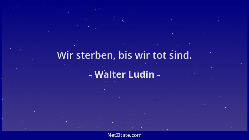 Walter Ludin - Wir sterben, bis wir tot sind....
