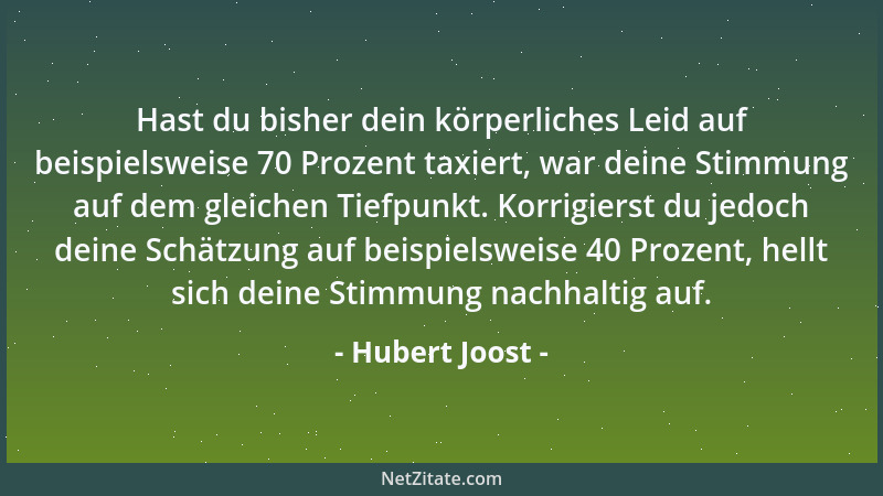 Hubert Joost - Hast du bisher dein körperliches Leid auf beispielsweise 70 Prozent taxiert, war deine Stimmung auf dem glei...